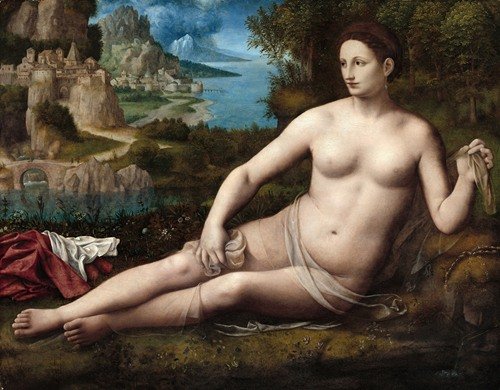 Venus (C. 1530)