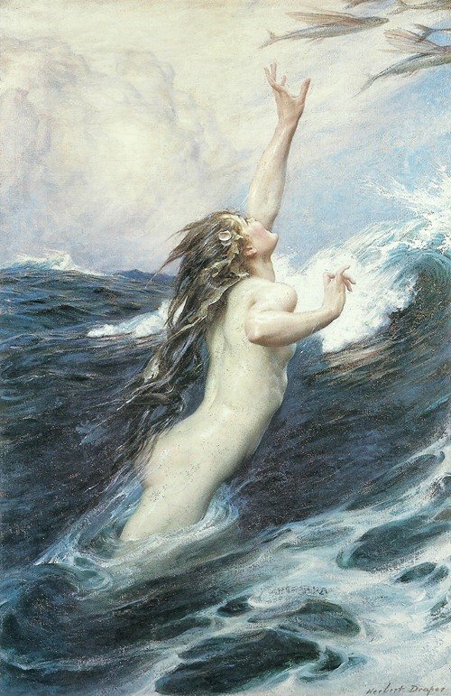 Flying Fish (Circa 1910)