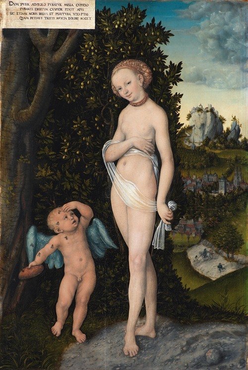 Venus with Cupid Stealing Honey (1530)