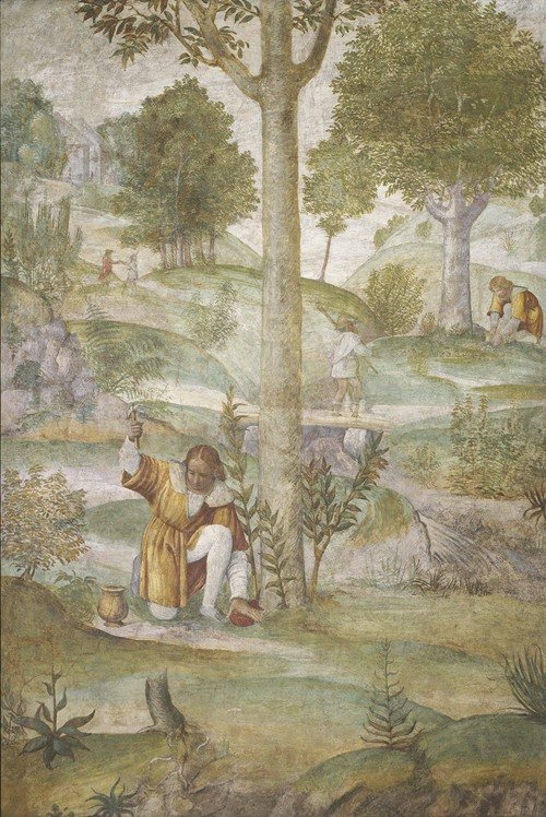 Cephalus Hiding the Jewels (c. 1520-1522)