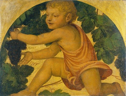 Putto picking Grapes (c. 1520 – 1523)