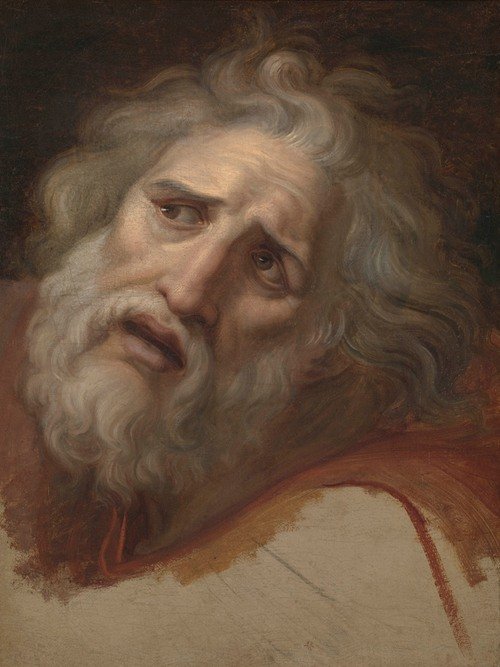 Head of Laocoon (1790)