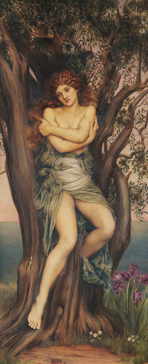 The Dryad (1884-1885)