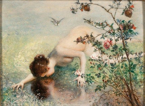 A Female Narcissus
