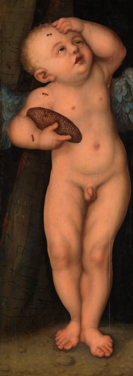 Amor als Honigdieb (1531)