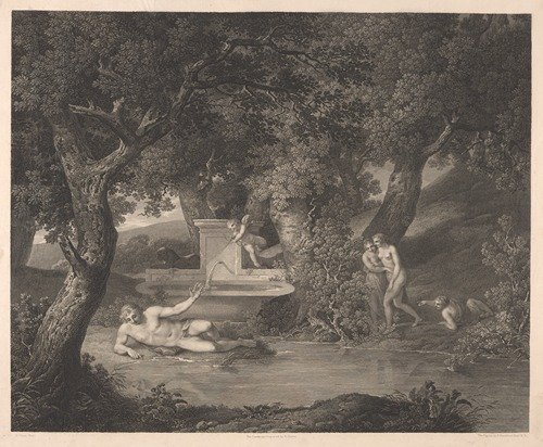 Narcissus