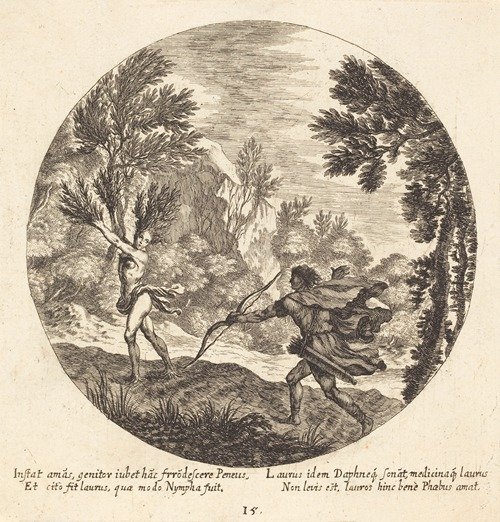 Daphne Turning to a Laurel (1665)