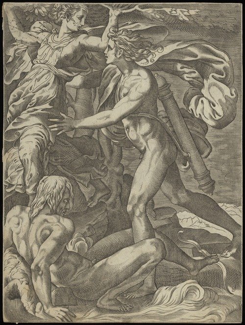Apollo en Daphne. (1515-1565)