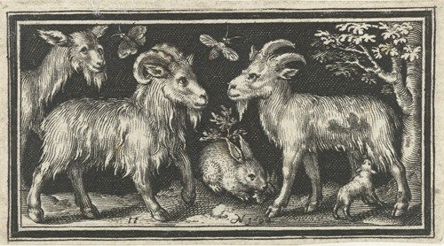 Goat and buck with young (1594)