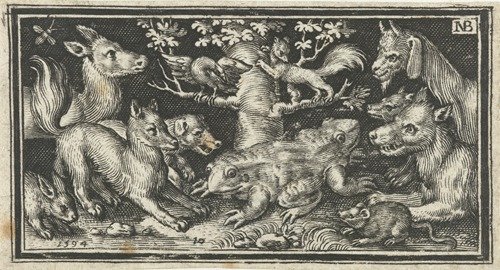 Two-headed toad or frog and other animals (1594)