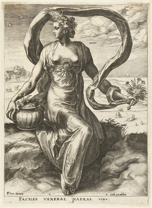 Napaea (1564)
