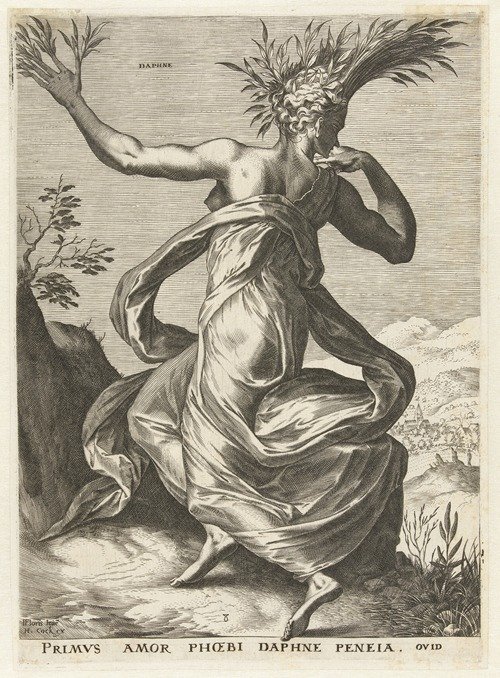 Daphne (1564)