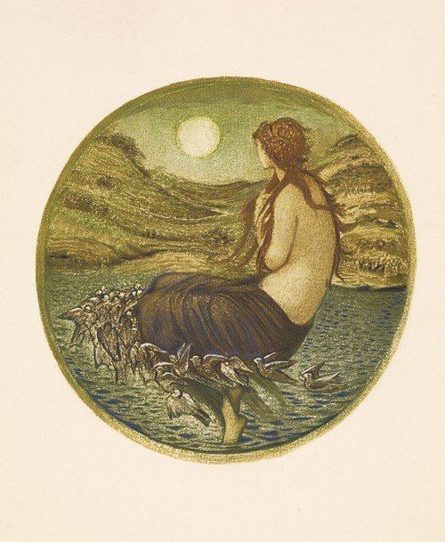 Venus Looking Glass