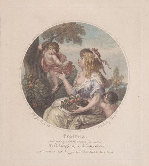 Pomona (1787)